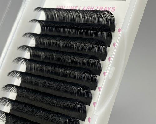 0.05 D-Curl Lash Trays